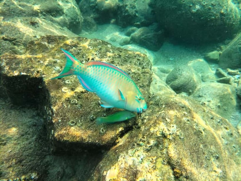 Koh Tao: Snorkeling and Sunset Tour - Price and Value: Is $23 a Good Deal in Koh Tao?
