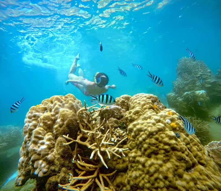 Koh Tao: Snorkeling Trip to Nang Yuan Island & Hidden Bays - Getting started at Mae Haad Pier, then out to Ko Nang Yuan