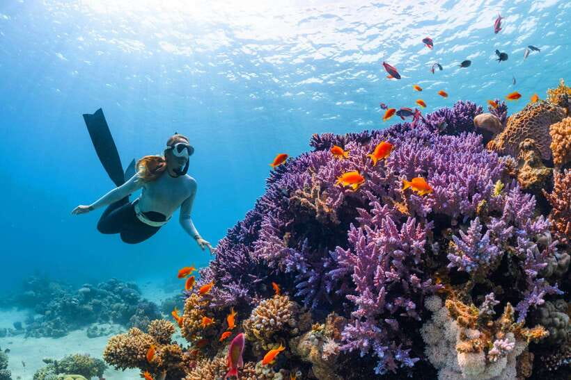 Krabi: 7 Islands Sunset Tour with Plankton Swim and BBQ - Logistics that can make or break your day