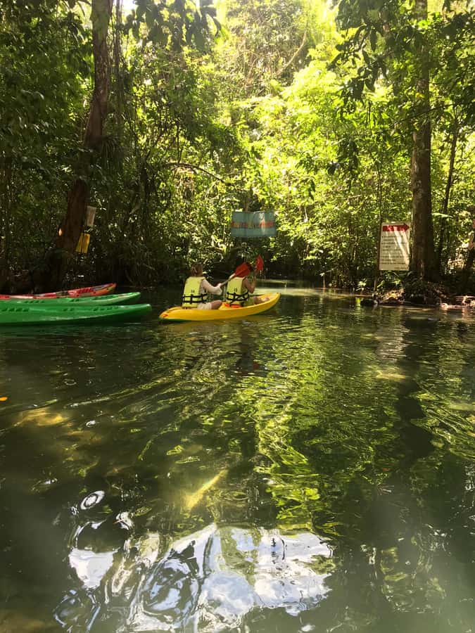Krabi: Amazon Klong Srakaew Kayaking With Lunch - Why Klong SraKaew Feels Different From Typical Krabi Water Tours