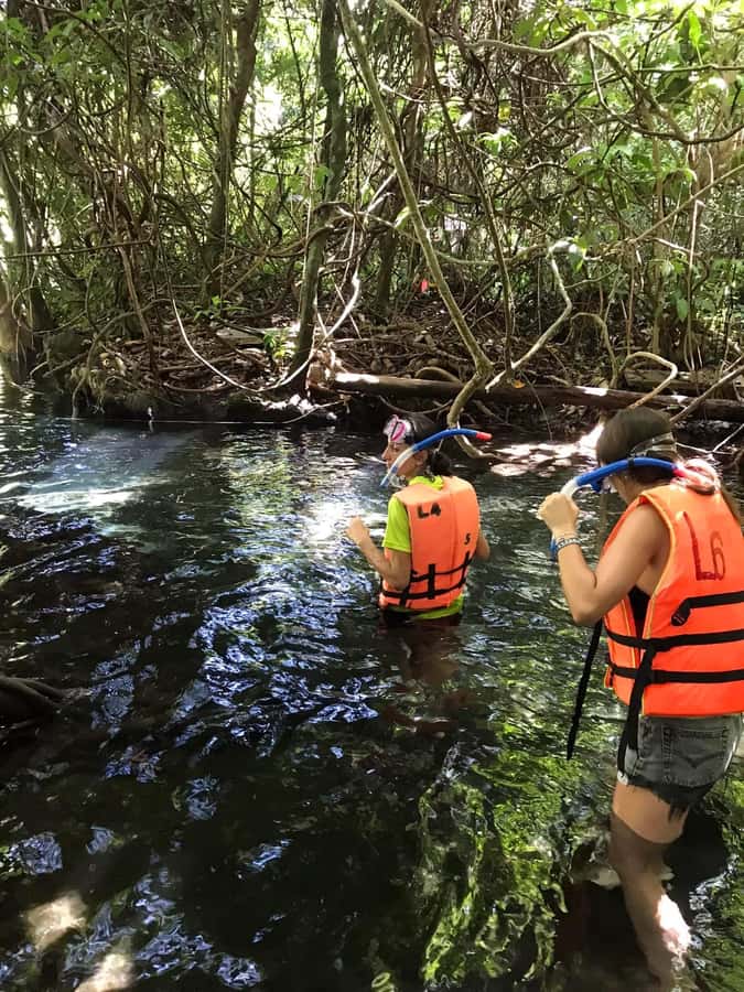 Krabi: Amazon Klong Srakaew Kayaking With Lunch - From Hotel Pickup to Getting on the Water