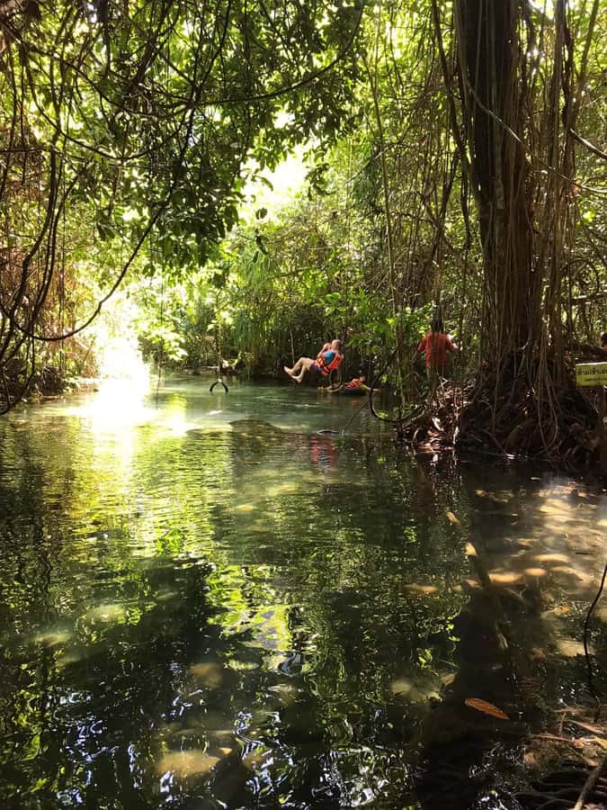 Krabi: Amazon Klong Srakaew Kayaking With Lunch - Kayaking the Emerald-Clear Canal: What You Should Look For