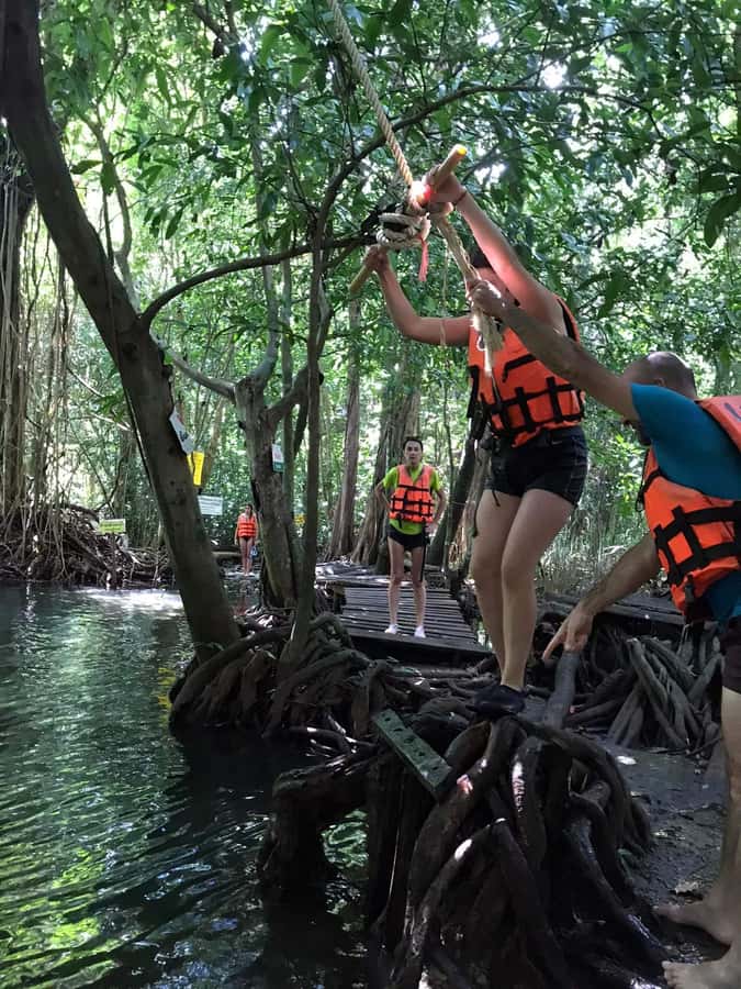 Krabi: Amazon Klong Srakaew Kayaking With Lunch - Lunch by the Water: What’s Included and How It Fits