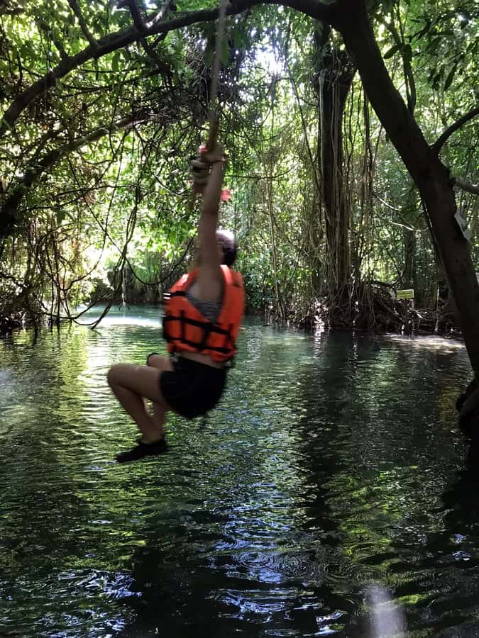 Krabi: Amazon Klong Srakaew Kayaking With Lunch - Eco-Friendly Intent, and Why That Should Matter to You