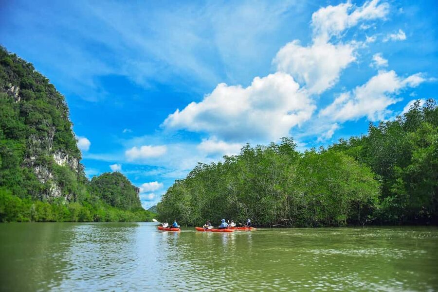 Krabi: Ao Thalane Mangrove Kayaking with Extras - Key Highlights You’ll Care About