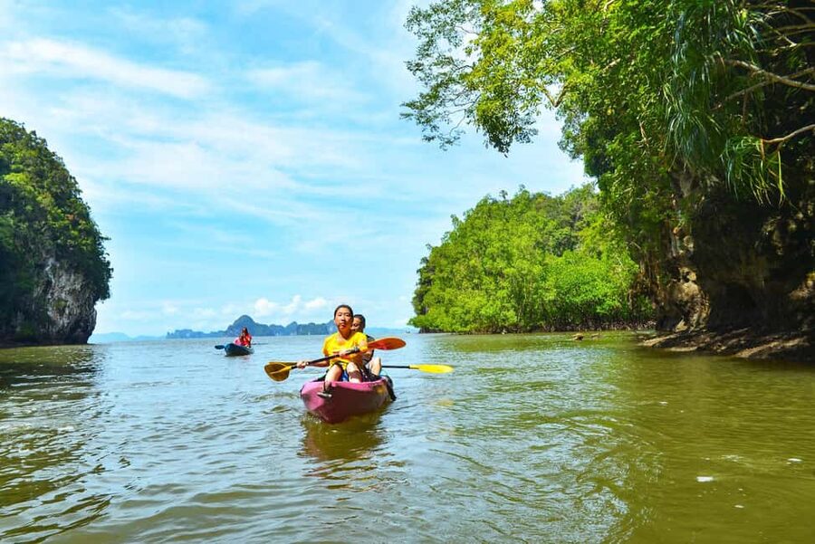 Krabi: Ao Thalane Mangrove Kayaking with Extras - Wildlife and the “feel” of the mangroves