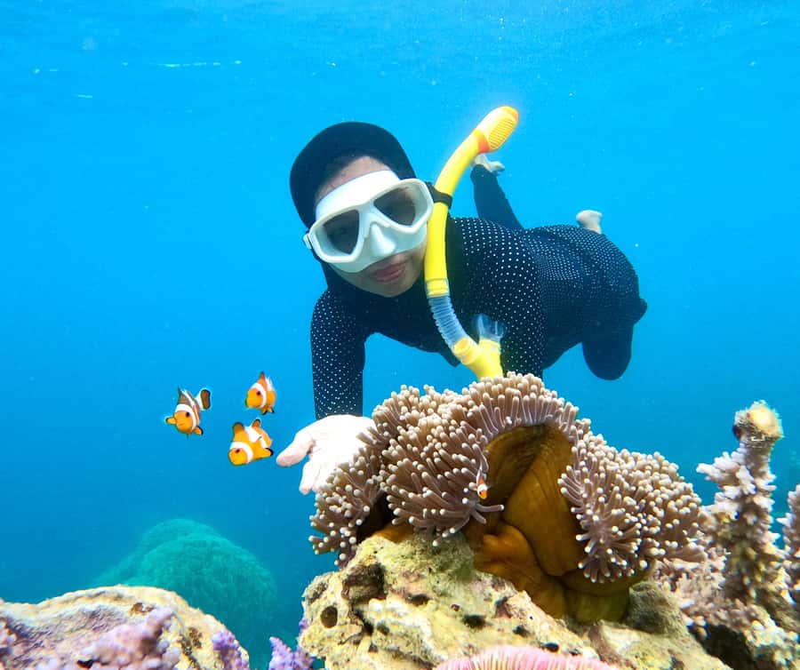 Krabi: Bioluminescent Plankton, Snorkeling & Sunset Tour - Who this tour fits best, and who should skip it