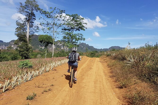 Krabi Countryside Eco Cycling Tour - Multiple Trails - The ride setup at Krabi Eco Cycle and what it means for you