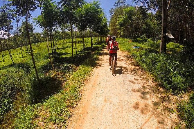 Krabi Countryside Eco Cycling Tour - Multiple Trails - Price and value: why $51.84 feels fair
