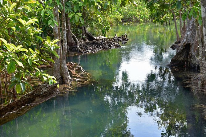 Krabi Countryside Eco Cycling Tour - Multiple Trails - Who this is perfect for (and who should choose something else)