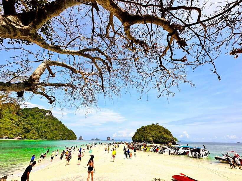 Krabi:Day Trip 4 Islands by Premium Longtail Boat with Lunch - Key things to love (before you book)
