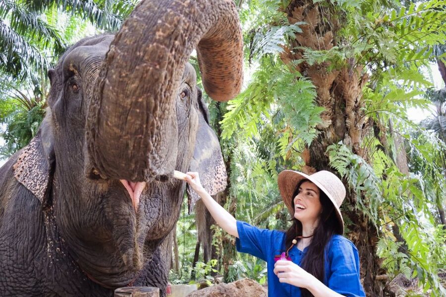 Krabi: Elephant Bathing Session at Krabi Elephant Shelter - First, the vibe: what you are really signing up for