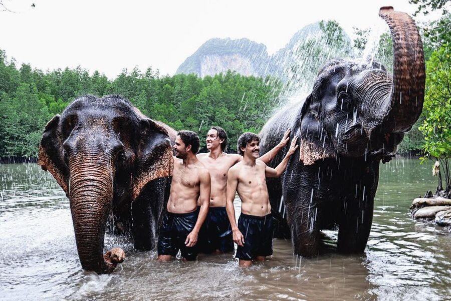 Krabi: Elephant Bathing Session at Krabi Elephant Shelter - The 90-minute flow: feeding, then bathing, then showering