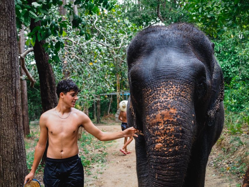 Krabi: Elephant Bathing Session at Krabi Elephant Shelter - The guides and what they add to the day