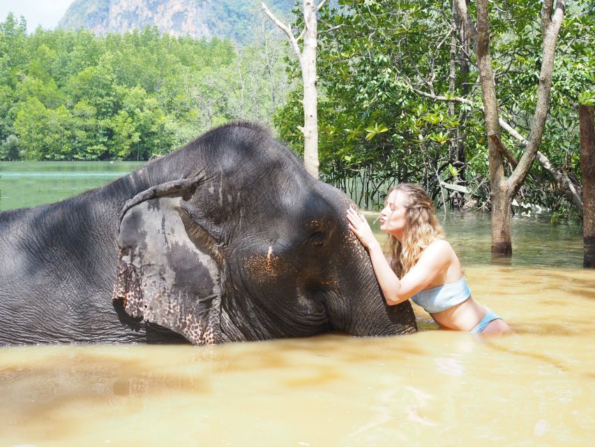 Krabi: Elephant Bathing Session at Krabi Elephant Shelter - Photos and small comforts: making it less stressful to participate