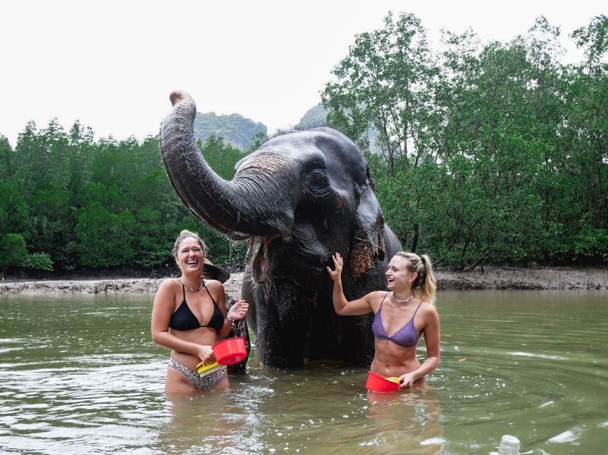 Krabi: Elephant Bathing Session at Krabi Elephant Shelter - Who this suits best, and who should skip it