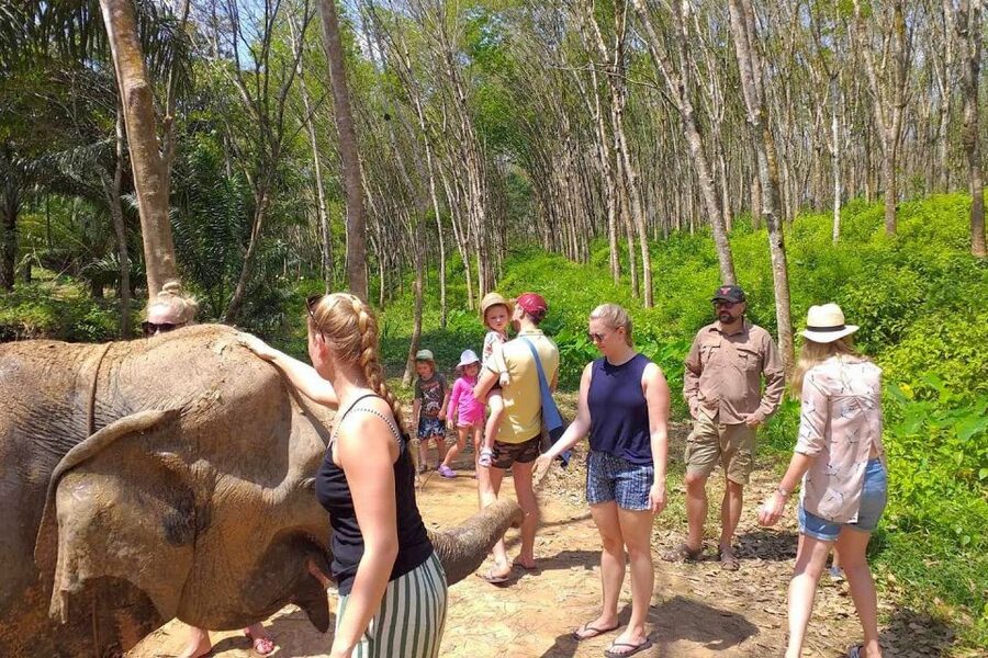 Krabi: Elephant Care House Guided Tour with Hotel Transfers - Key points before you go