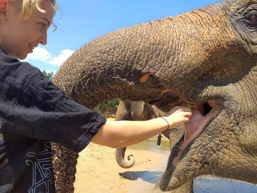 Krabi: Elephant Care House Guided Tour with Hotel Transfers - Where Krabi Elephant Care House fits in Khao Phanom Bencha