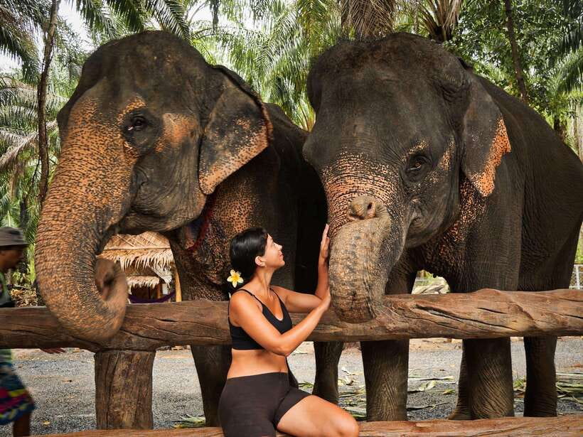 Krabi: Elephant Feeding Program - Key things I’d focus on before you go
