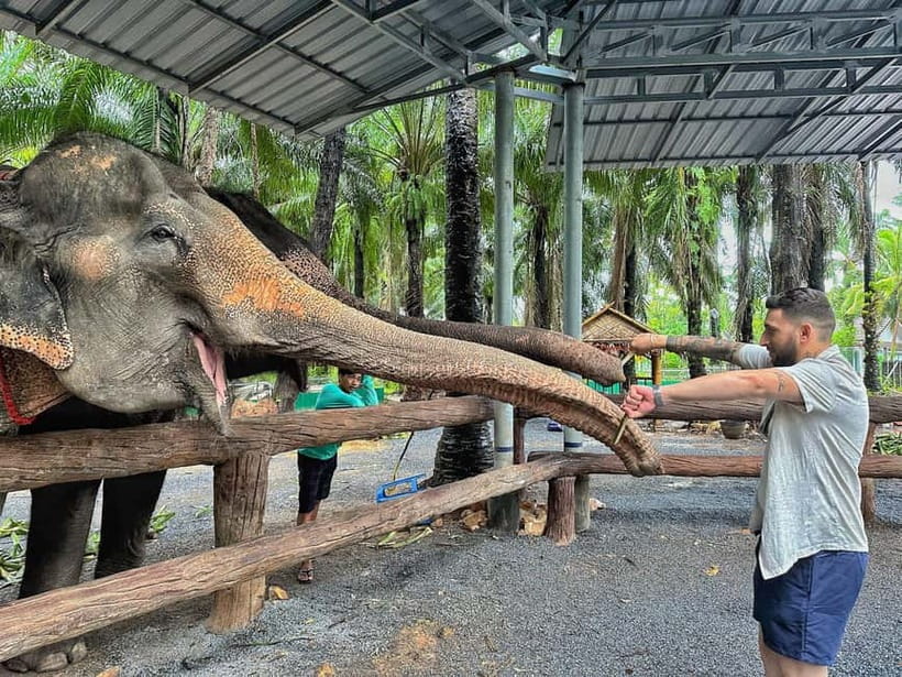 Krabi: Elephant Feeding Program with Food Preparation - Hand-feeding elephants with expert guidance and real interaction