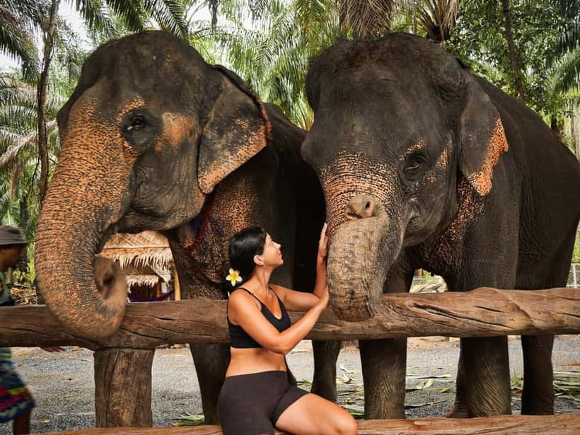 Krabi: Elephant Feeding Program with Food Preparation - What to bring and how to prep, especially for the insurance step
