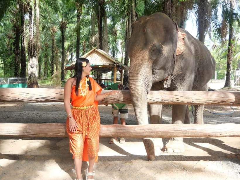 Krabi: Elephant Feeding Program with Traditional Thai Dress - Thai dress first, elephants second at Krabi Elephant Shelter