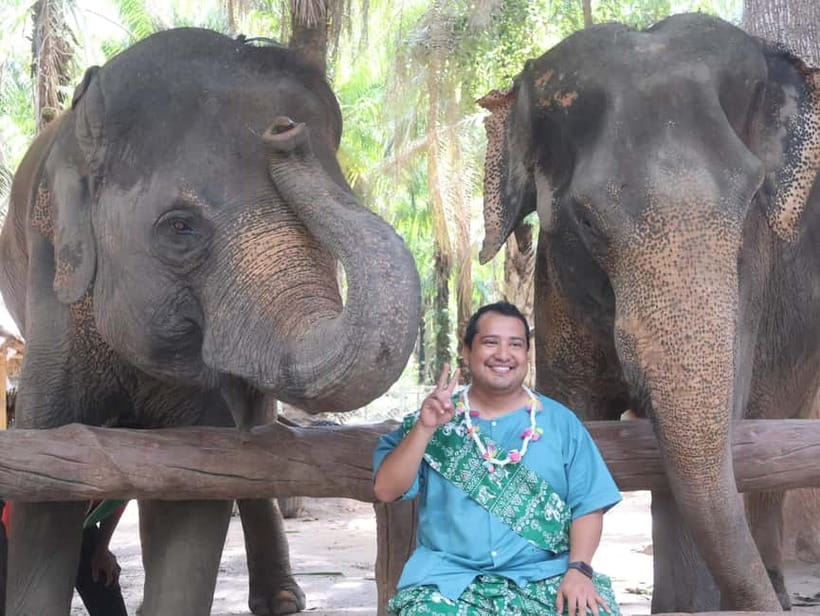 Krabi: Elephant Feeding Program with Traditional Thai Dress - Should you book Krabi Elephant Feeding Program with Traditional Thai Dress?