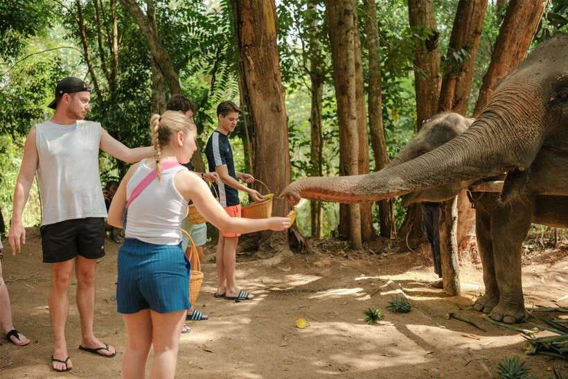 Krabi: Elephant Sanctuary (near Ao Nang) Visit - Feeding elephants fruit, the part you’ll remember most