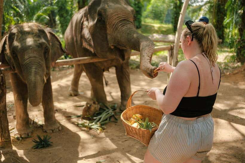 Krabi: Elephant Sanctuary (near Ao Nang) Visit - Price and value: why around $22 can make sense here