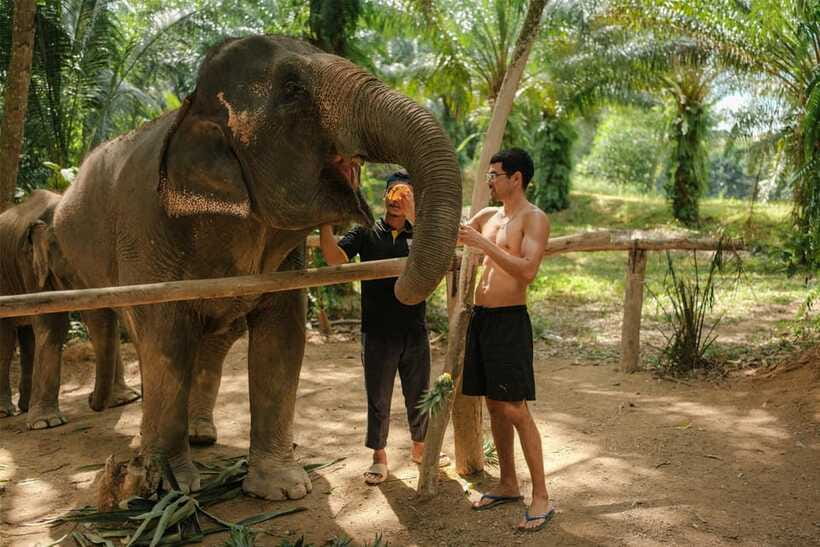 Krabi: Elephant Sanctuary (near Ao Nang) Visit - Who should book, and who should skip this one