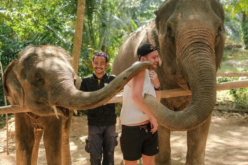 Krabi: Elephant Sanctuary (near Ao Nang) Visit - Potential drawbacks to consider before you go