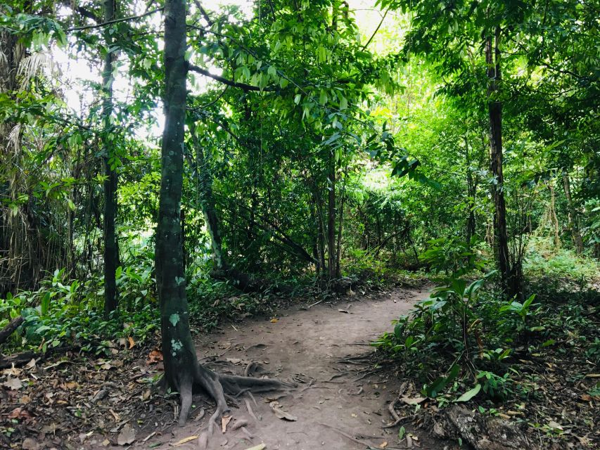 Krabi: Emerald Pool and Hot Springs Waterfall Half-Day Trip - Key Tour Takeaways