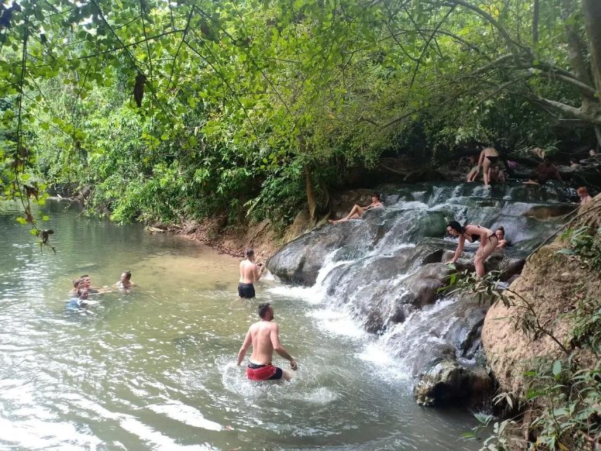 Krabi: Emerald Pool and Hot Springs Waterfall Half-Day Trip - Krabi Pickup To Nature Reserve: The Timing Reality Check