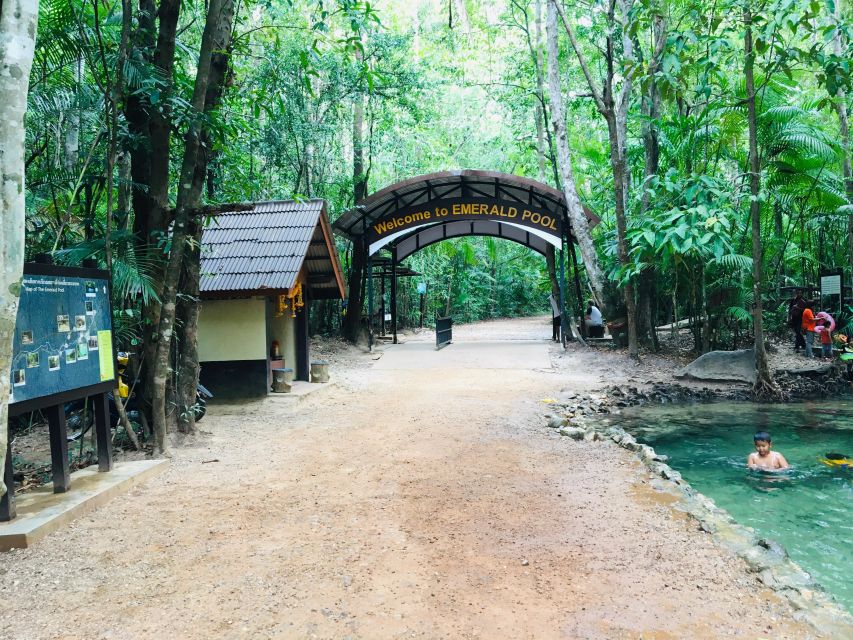 Krabi: Emerald Pool and Hot Springs Waterfall Half-Day Trip - Guided Walk in Khao Phra Bang Khram: What the Forest Adds