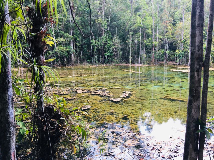 Krabi: Emerald Pool and Hot Springs Waterfall Half-Day Trip - Should You Book This Emerald Pool and Hot Springs Tour?