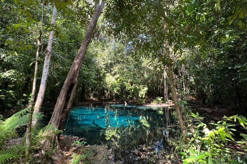 Krabi: Emerald Pool, Hot Springs, and Kayaking Tour - Hot Spring Waterfall pools: warm mineral soak with a calmer vibe