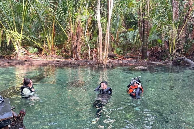Krabi: Emerald Pool, Hot Springs, and Kayaking Tour - Kayaking on a clear freshwater stream: easy paddling, real-world obstacles