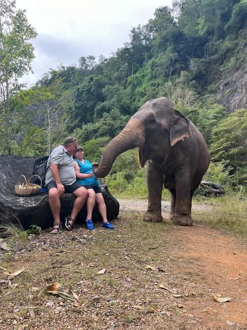 Krabi: Ethical Elephant Sanctuary & Tiger Cave Temple Tour - Tiger Cave Temple: 1,237 steps, steep climbs, and big payoff views