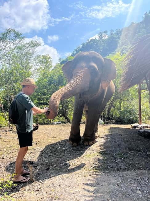 Krabi: Ethical Elephant Sanctuary & Tiger Cave Temple Tour - Temple etiquette: what to wear for the climb and the climb up to it