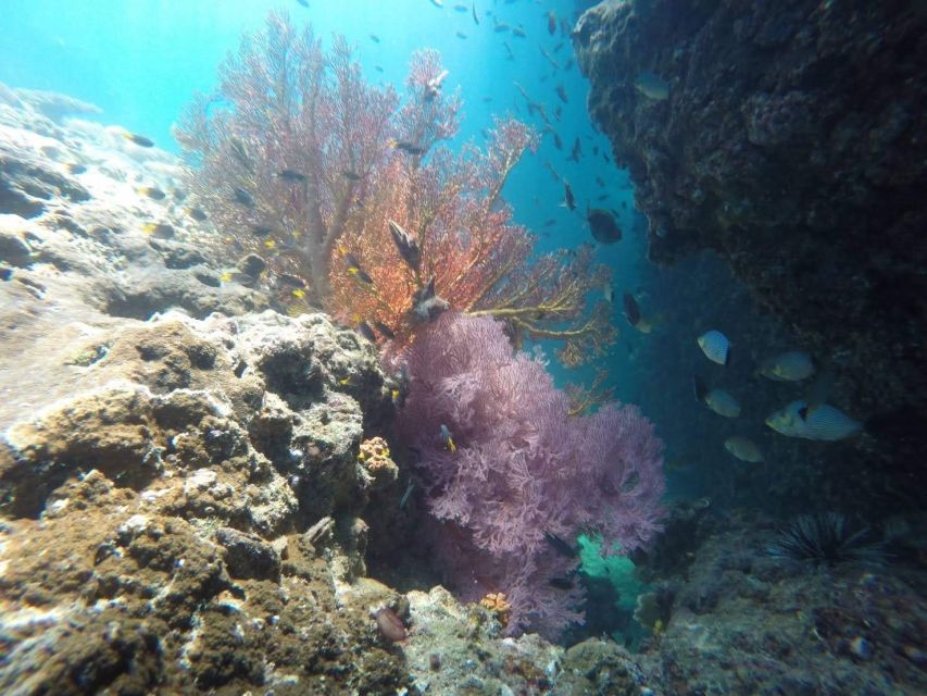 Krabi: Freediving and Snorkeling at Yawasam and Talu Island - Koh Yawasam snorkeling: shallow reefs, anemone fish, and rock outcrops