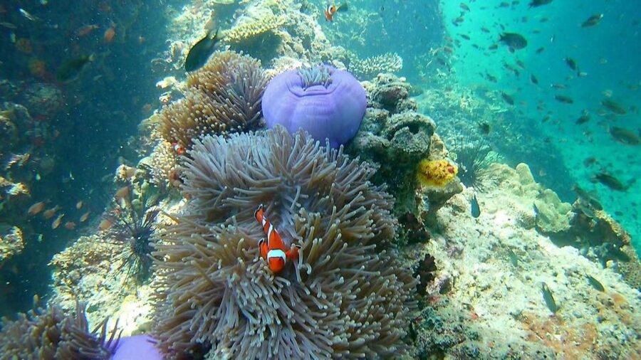 Krabi: Freediving and Snorkeling at Yawasam and Talu Island - Railay Beach on the way back: a scenic pass before you head home
