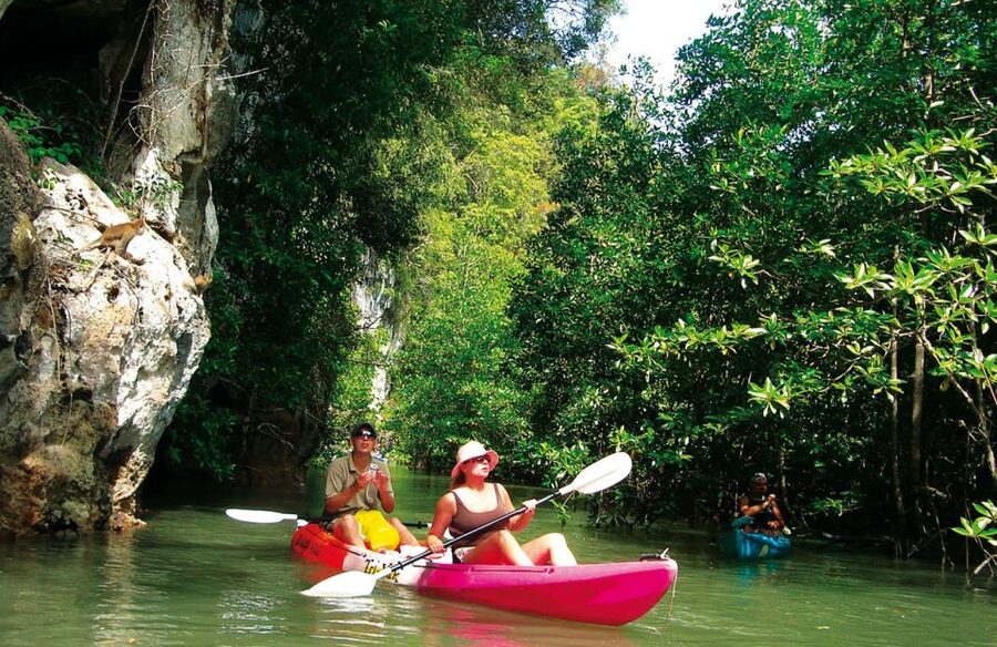 Krabi: Guided Kayaking Tour at Ao Thalane - Key highlights worth your time