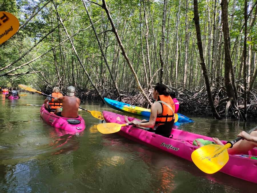 Krabi: Half-Day Kayak Adventure at Ao Thalane - Key things to know before you paddle Ao Thalane