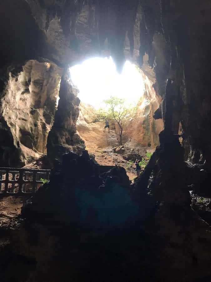Krabi: Half-Day Mangrove Boat Trip And Khao Khanap Nam Cave - From hotel pickup to Black Crab Sculpture Pier, keep it easy