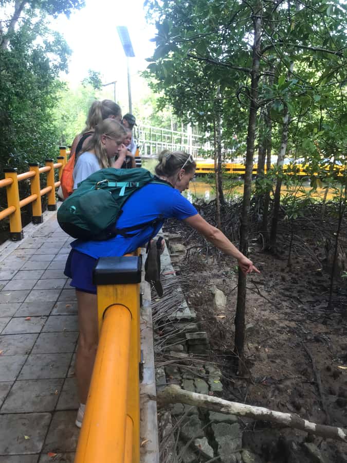Krabi: Half-Day Mangrove Boat Trip And Khao Khanap Nam Cave - Price and logistics: value depends on how you manage the 2 hours