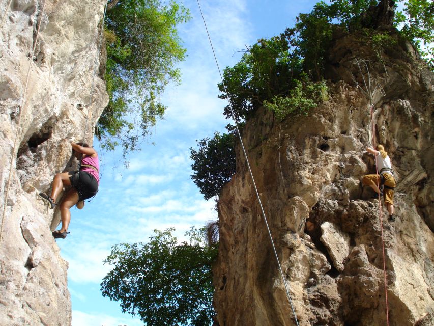 Krabi: Half-Day Rock Climbing at Railay Beach - Price and value: is $51 a good deal for this setup?