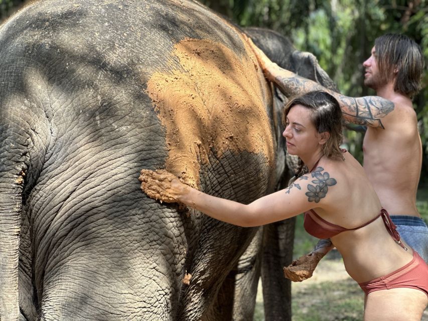 Krabi: Highlights Tour with Krabi Elephant Shelter - A second home for elephants, not a show