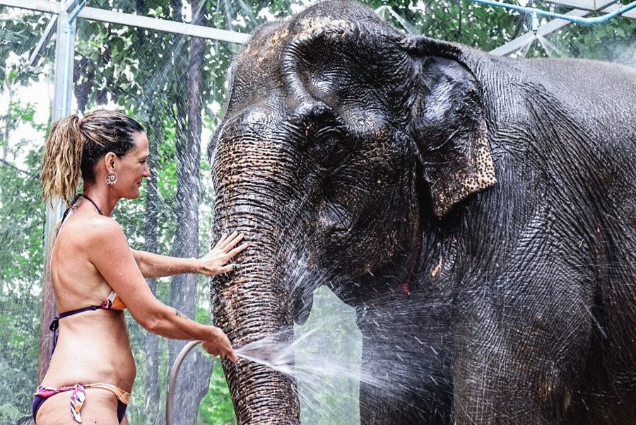 Krabi: Highlights Tour with Krabi Elephant Shelter - Mud, river, and shower bathing: what to expect and how to handle it