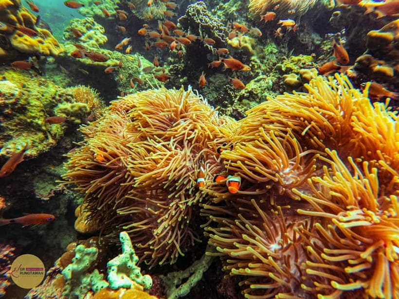 Krabi: Hong Islands Sunset, Bioluminescent Plankton and BBQ - Ko Lao Lading and Ko Lao Lading Photo Stops: The Warm-Up Swim