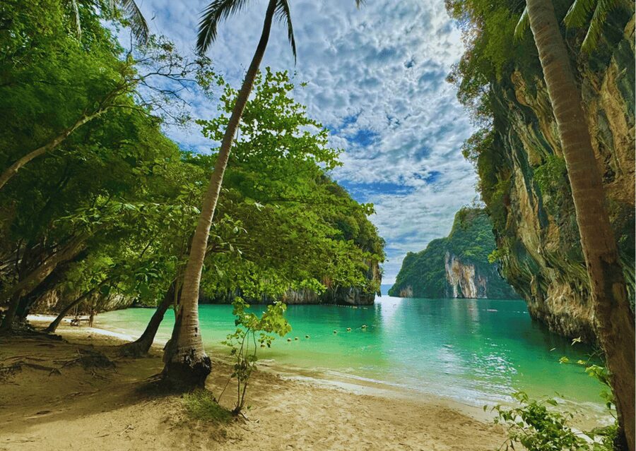 Krabi: Hong Islands Sunset, Bioluminescent Plankton and BBQ - Bioluminescent Plankton: How to Maximize Your Chances